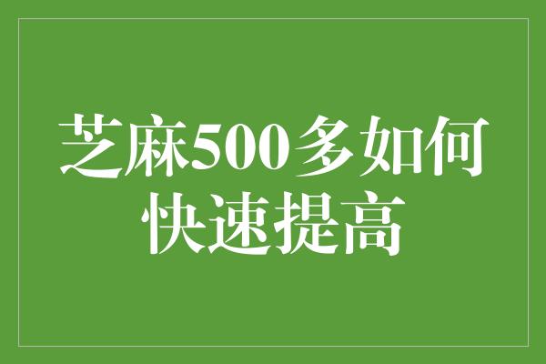 芝麻500多如何快速提高