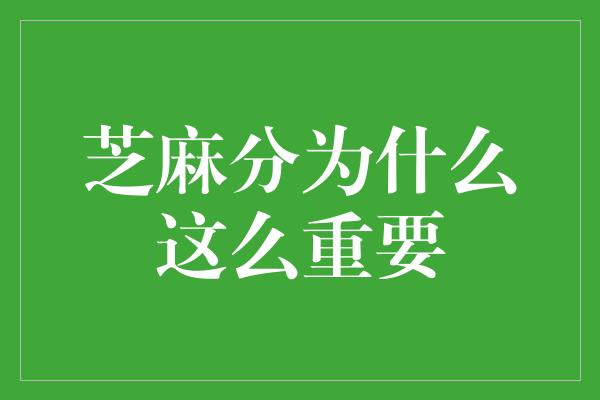 芝麻分为什么这么重要