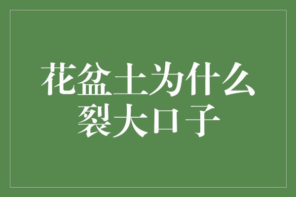 花盆土为什么裂大口子