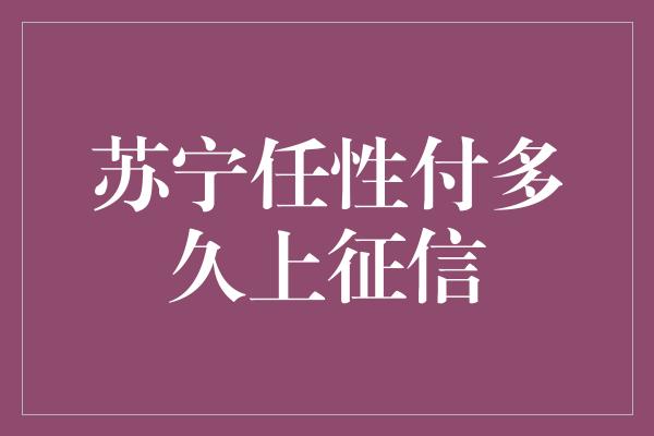 苏宁任性付多久上征信