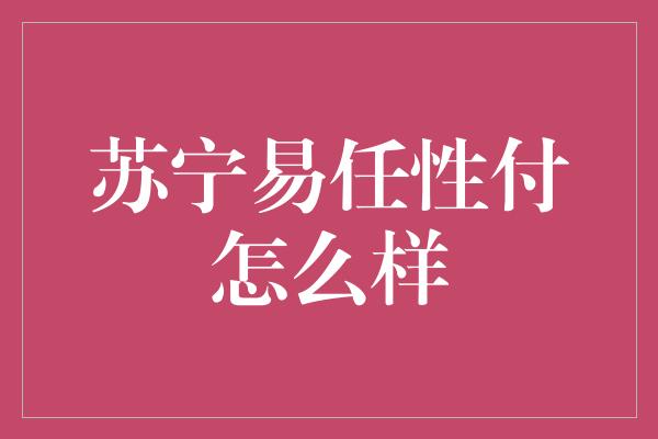 苏宁易任性付怎么样