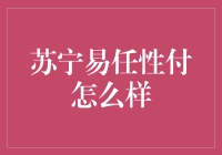 苏宁易购推出任性付，消费金融新势力