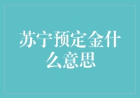 苏宁预定金：购物新体验与消费保障解析