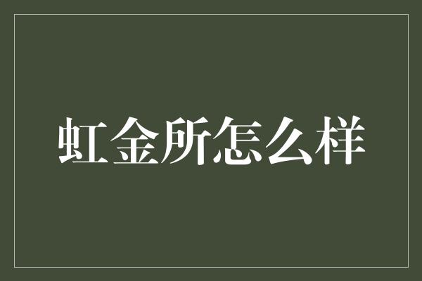 虹金所怎么样