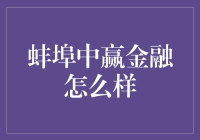 中赢金融解析：一家注册地在蚌埠的金融公司深度分析