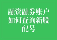 融资融券账户查询新股配号：操作指南与注意事项