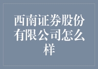 西南证券股份有限公司：金融服务的西南领航者