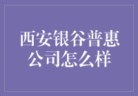 西安银谷普惠公司：金融服务领域的新星