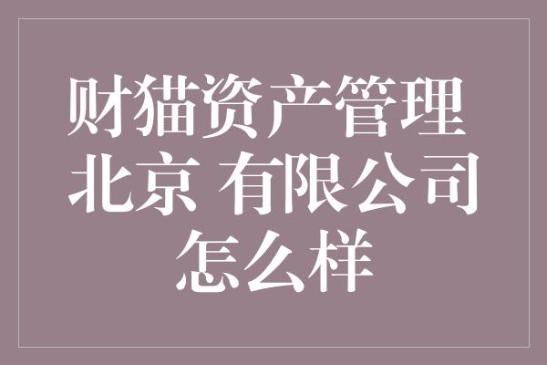 财猫资产管理 北京 有限公司怎么样