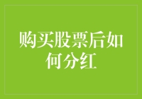 股票投资的艺术：如何在分红中获得最大利益