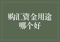 购汇资金用途哪个好？别傻了，当然是拿来炒股啦！