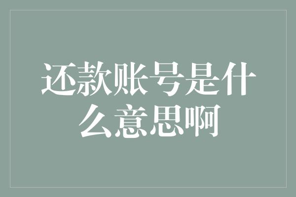 还款账号是什么意思啊