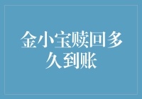 金小宝，你到底啥时候能到账啊？我的钱包等得花儿都谢了！