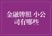 小公司如何获取金融牌照：策略与挑战