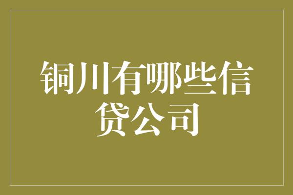 铜川有哪些信贷公司