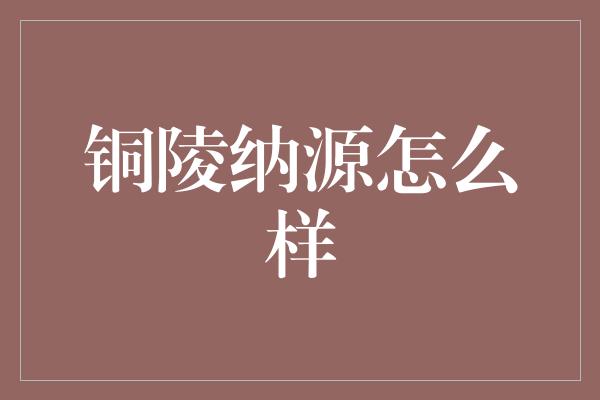 铜陵纳源怎么样