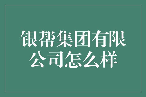 银帮集团有限公司怎么样