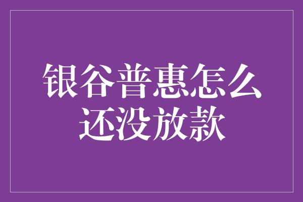 银谷普惠怎么还没放款