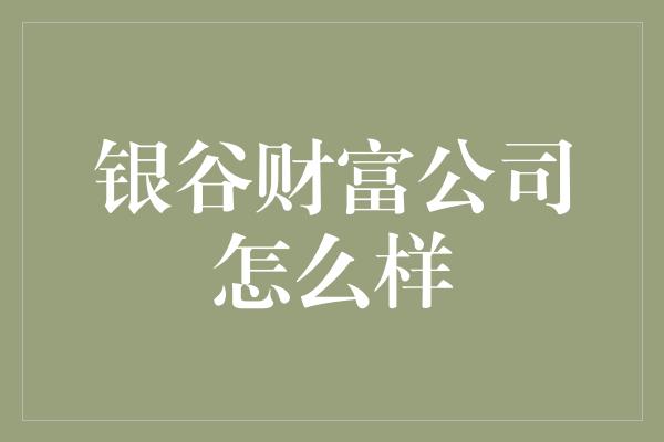 银谷财富公司怎么样