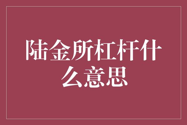 陆金所杠杆什么意思