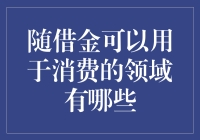 如何利用随借金进行多样化消费？