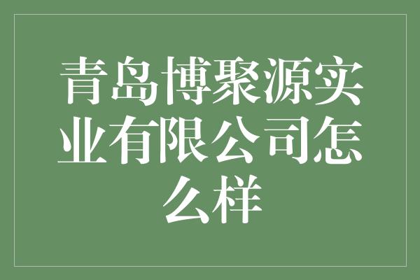 青岛博聚源实业有限公司怎么样