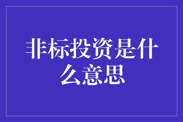 非标投资是什么意思