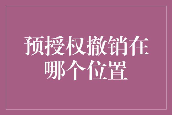 预授权撤销在哪个位置