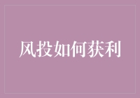 行业大佬的神秘盈利方式：风投如何在混乱中找到宝藏