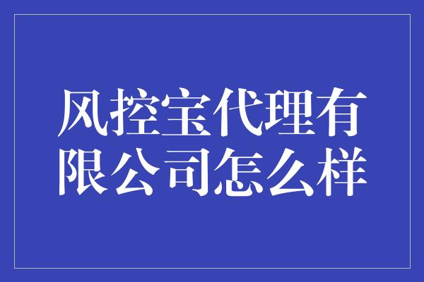 风控宝代理有限公司怎么样