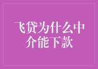 飞贷：破解为何中介可以成功下款的金融生态系统谜团