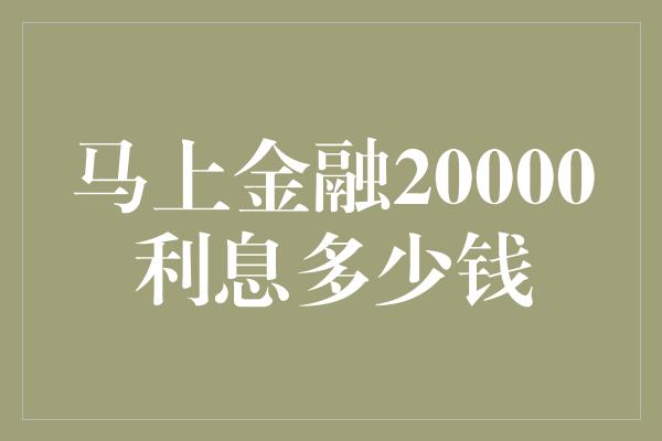 马上金融20000利息多少钱