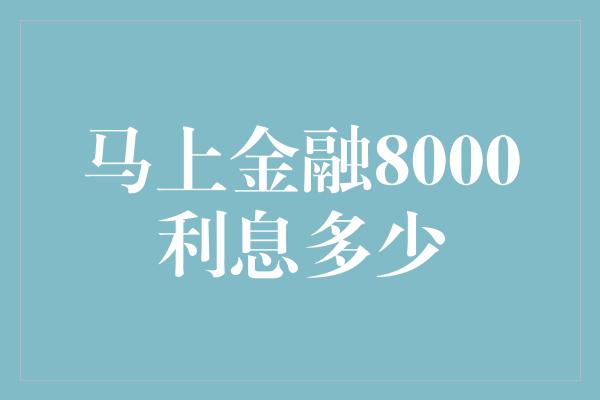 马上金融8000利息多少