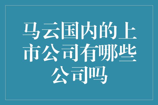 马云国内的上市公司有哪些公司吗