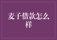 麦子借款：探索借款平台的新趋势