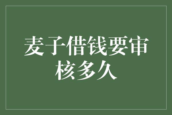 麦子借钱要审核多久