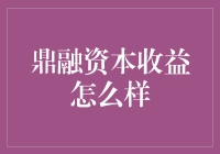 鼎融资本收益怎么样？揭秘李老板的奇幻之旅