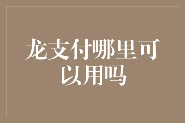 龙支付哪里可以用吗