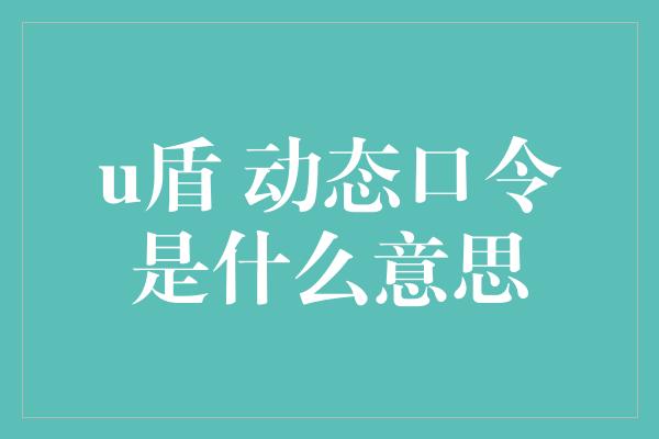 u盾 动态口令是什么意思