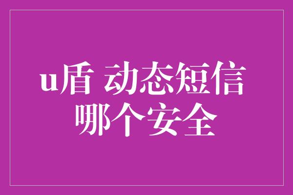 u盾 动态短信 哪个安全