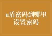 U盾密码设置指南：如何让你的电脑也装上保险锁