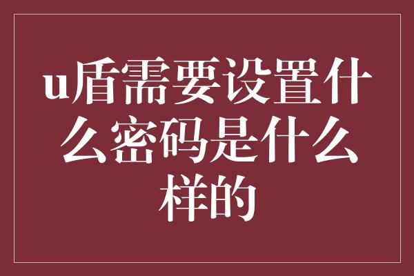 u盾需要设置什么密码是什么样的