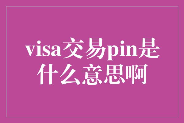 visa交易pin是什么意思啊